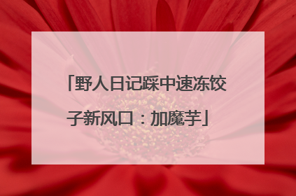 野人日记踩中速冻饺子新风口：加魔芋