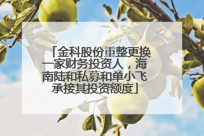 金科股份重整更换一家财务投资人，海南陆和私募和单小飞承接其投资额度