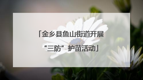 金乡县鱼山街道开展“三防”护苗活动