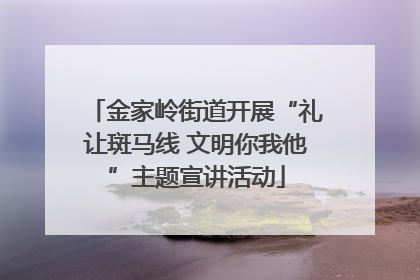 金家岭街道开展“礼让斑马线 文明你我他”主题宣讲活动