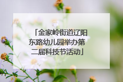 金家岭街道辽阳东路幼儿园举办第二届科技节活动