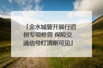 金水城管开展行道树专项修剪 保障交通信号灯清晰可见