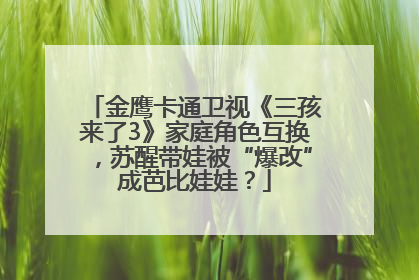 金鹰卡通卫视《三孩来了3》家庭角色互换，苏醒带娃被“爆改”成芭比娃娃？
