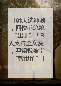 韩大选冲刺，四位前总统“出手”！3人支持金文洙，尹锡悦被指“帮倒忙”
