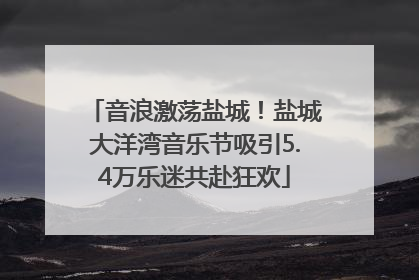 音浪激荡盐城！盐城大洋湾音乐节吸引5.4万乐迷共赴狂欢