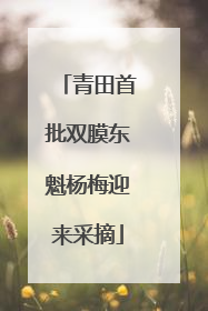 青田首批双膜东魁杨梅迎来采摘