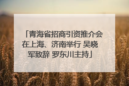 青海省招商引资推介会在上海、济南举行 吴晓军致辞 罗东川主持