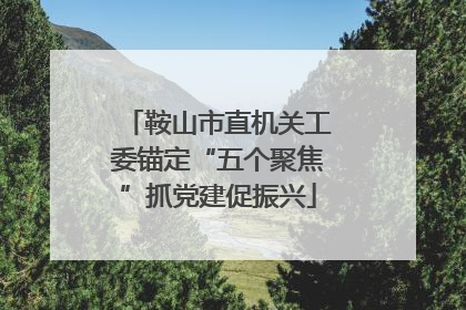鞍山市直机关工委锚定“五个聚焦”抓党建促振兴