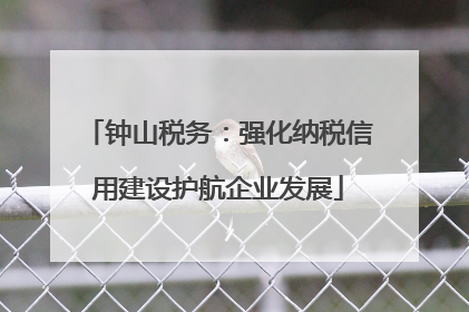 钟山税务：强化纳税信用建设护航企业发展