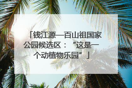 钱江源—百山祖国家公园候选区：“这是一个动植物乐园”
