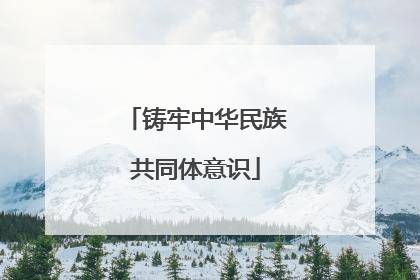 铸牢中华民族共同体意识