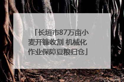 长垣市87万亩小麦开镰收割 机械化作业保障夏粮归仓