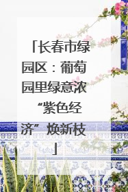 长春市绿园区：葡萄园里绿意浓 “紫色经济”焕新枝