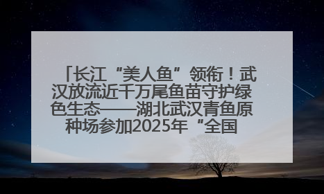 长江“美人鱼”领衔！武汉放流近千万尾鱼苗守护绿色生态——湖北武汉青鱼原种场参加2025年“全国放鱼日”增殖放流活动