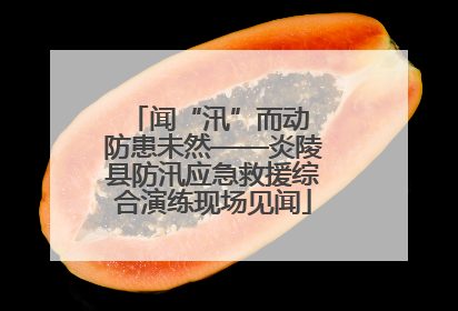 闻“汛”而动 防患未然——炎陵县防汛应急救援综合演练现场见闻