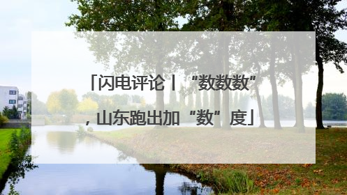 闪电评论丨“数数数”，山东跑出加“数”度