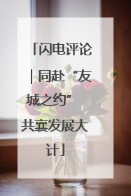 闪电评论｜同赴“友城之约” 共襄发展大计
