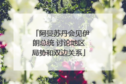 阿曼苏丹会见伊朗总统 讨论地区局势和双边关系