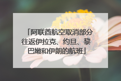 阿联酋航空取消部分往返伊拉克、约旦、黎巴嫩和伊朗的航班