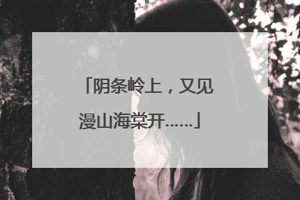 阴条岭上，又见漫山海棠开……