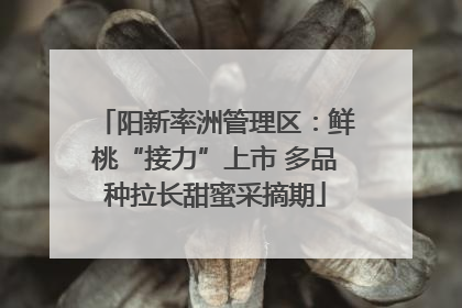 阳新率洲管理区：鲜桃“接力”上市 多品种拉长甜蜜采摘期