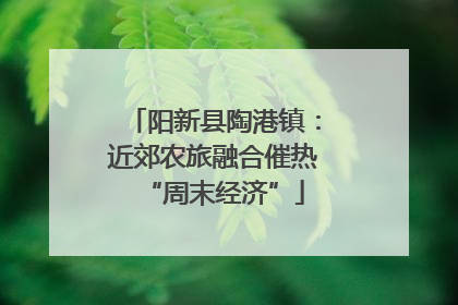 阳新县陶港镇：近郊农旅融合催热“周末经济”