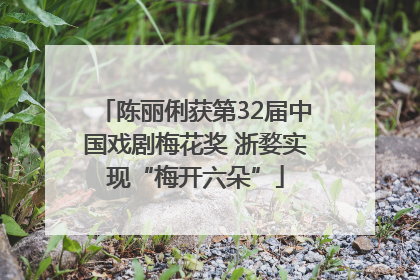 陈丽俐获第32届中国戏剧梅花奖 浙婺实现“梅开六朵”