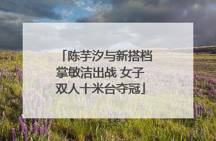 陈芋汐与新搭档掌敏洁出战 女子双人十米台夺冠