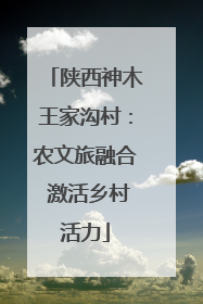 陕西神木王家沟村：农文旅融合 激活乡村活力