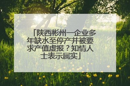 陕西彬州一企业多年缺水至停产并被要求产值虚报？知情人士表示属实