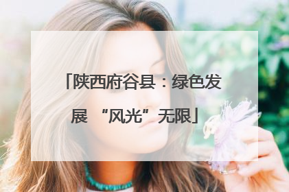 陕西府谷县：绿色发展 “风光”无限