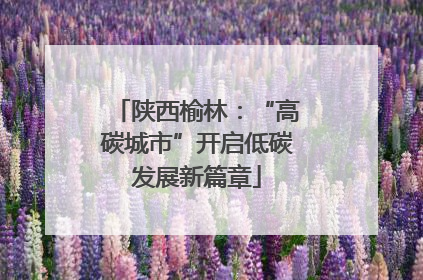 陕西榆林：“高碳城市”开启低碳发展新篇章