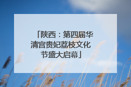 陕西：第四届华清宫贵妃荔枝文化节盛大启幕