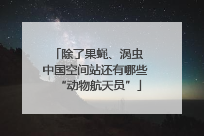 除了果蝇、涡虫 中国空间站还有哪些“动物航天员”