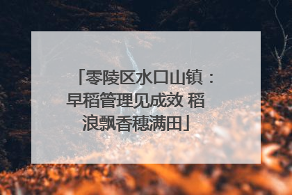 零陵区水口山镇：早稻管理见成效 稻浪飘香穗满田
