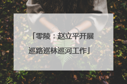 零陵：赵立平开展巡路巡林巡河工作