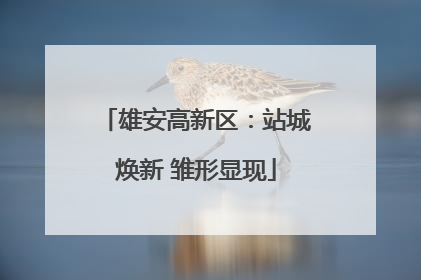 雄安高新区：站城焕新 雏形显现