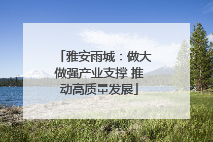雅安雨城：做大做强产业支撑 推动高质量发展