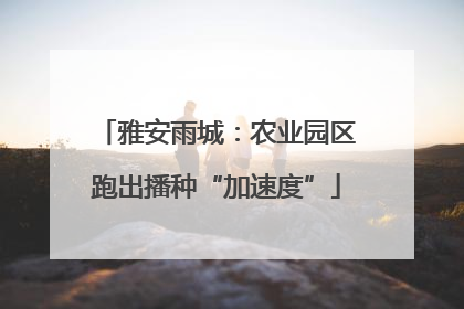 雅安雨城：农业园区跑出播种“加速度”