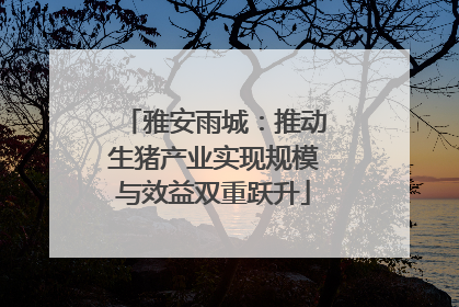雅安雨城：推动生猪产业实现规模与效益双重跃升