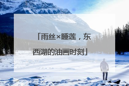 雨丝×睡莲，东西湖的油画时刻