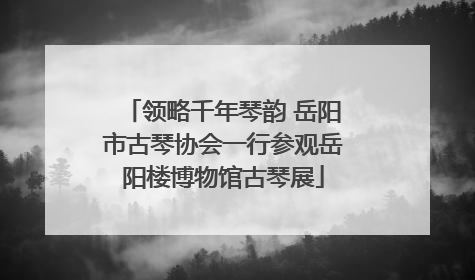 领略千年琴韵 岳阳市古琴协会一行参观岳阳楼博物馆古琴展