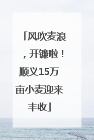 风吹麦浪，开镰啦！顺义15万亩小麦迎来丰收