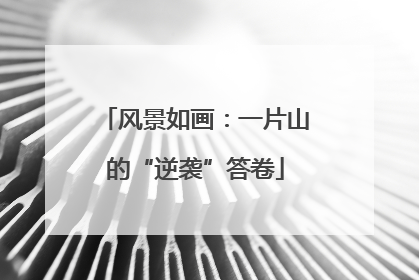 风景如画：一片山的“逆袭”答卷