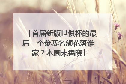 首届新版世俱杯的最后一个参赛名额花落谁家？本周末揭晓