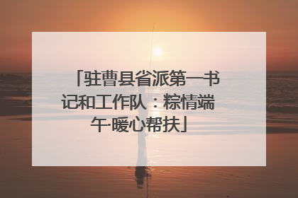 驻曹县省派第一书记和工作队：粽情端午·暖心帮扶