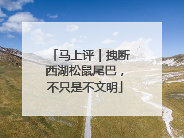 马上评｜拽断西湖松鼠尾巴，不只是不文明