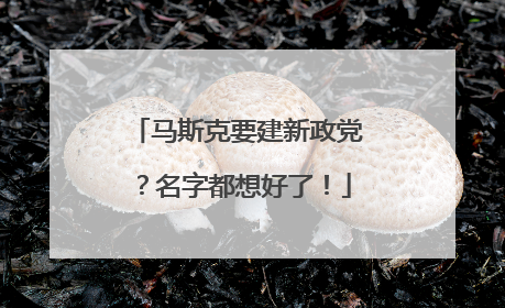 马斯克要建新政党？名字都想好了！
