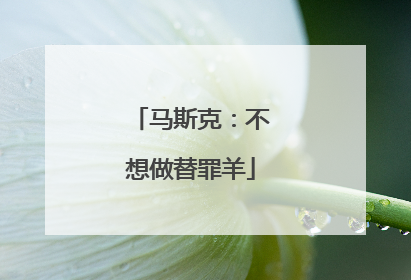 马斯克：不想做替罪羊