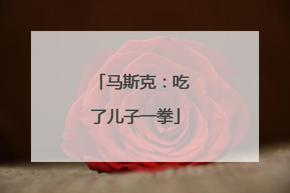 马斯克：吃了儿子一拳